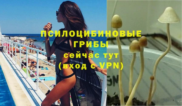 Альфа ПВП Михайловка