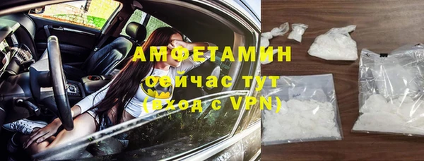 сатива Долгопрудный