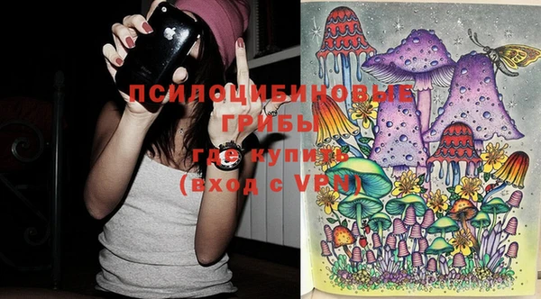 дживик Новый Уренгой