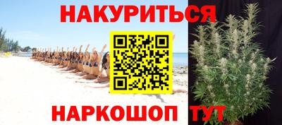 дмт Бийск