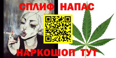 дмт Бийск