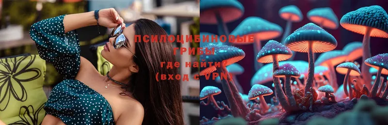 Галлюциногенные грибы Psilocybe  Егорьевск 