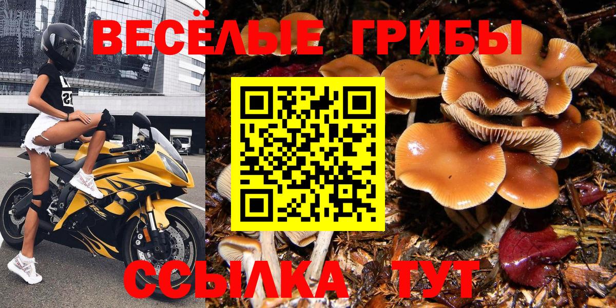 Псилоцибиновые грибы прущие грибы  Вход с VPN  Псилоцибиновые грибы мицелий  Егорьевск 