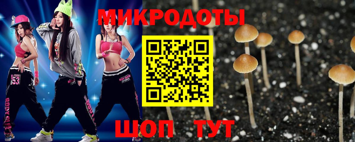 Псилоцибиновые грибы MAGIC MUSHROOMS  Егорьевск 