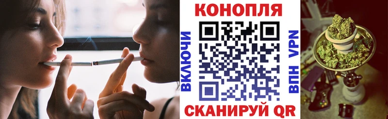 Бошки Шишки сатива Егорьевск