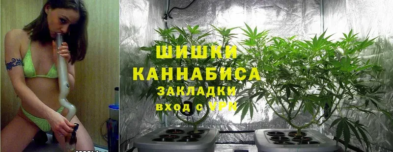 mega   Егорьевск  мориарти клад  Каннабис OG Kush 